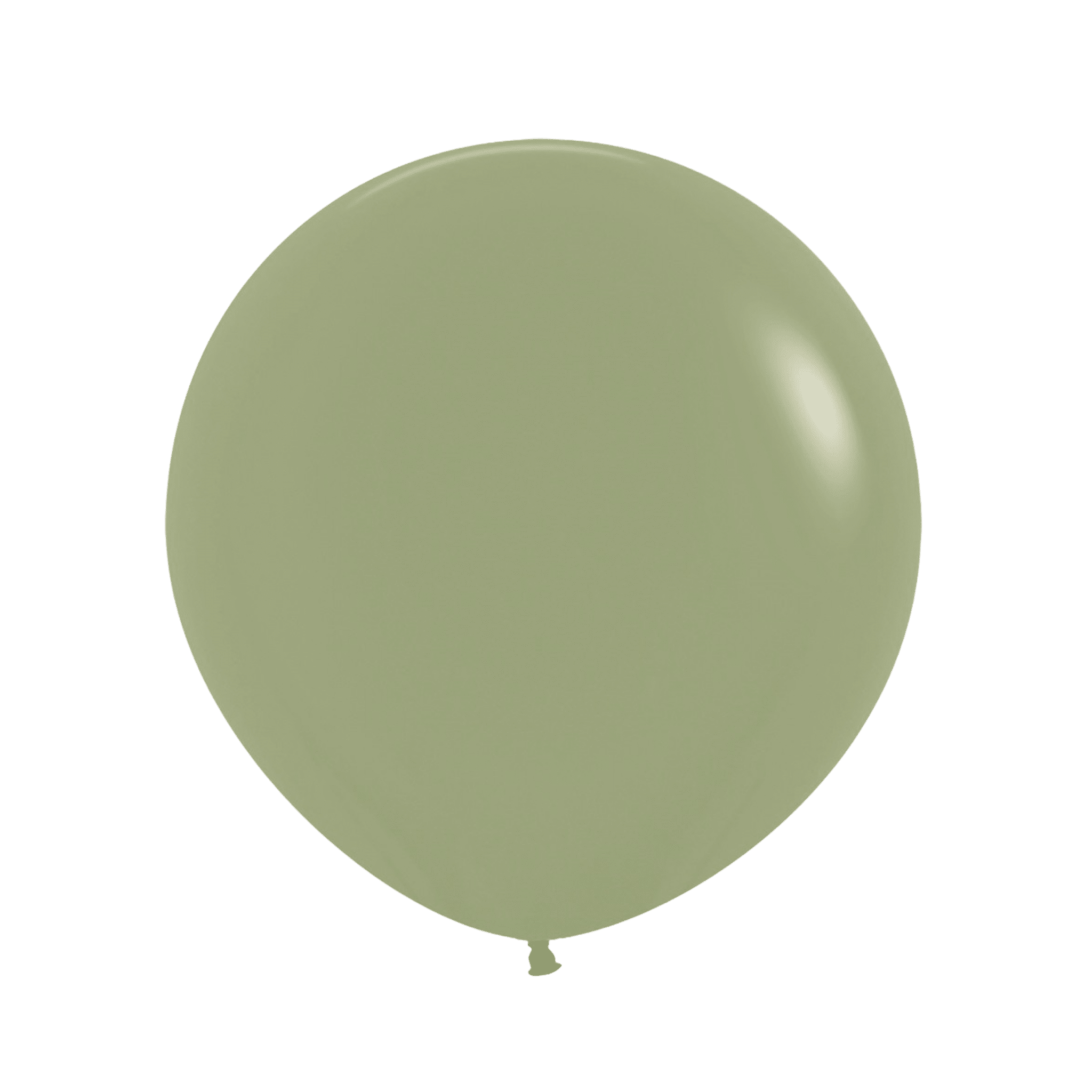 Bioloons Riesenballon Eucalyptus (60cm) - TÜV-zertifizierte Qualität