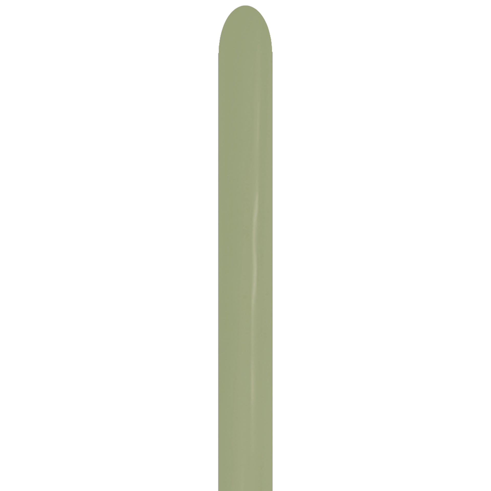 Bioloons Modellierballon Eucalyptus (5cm) - TÜV-zertifizierte Qualität