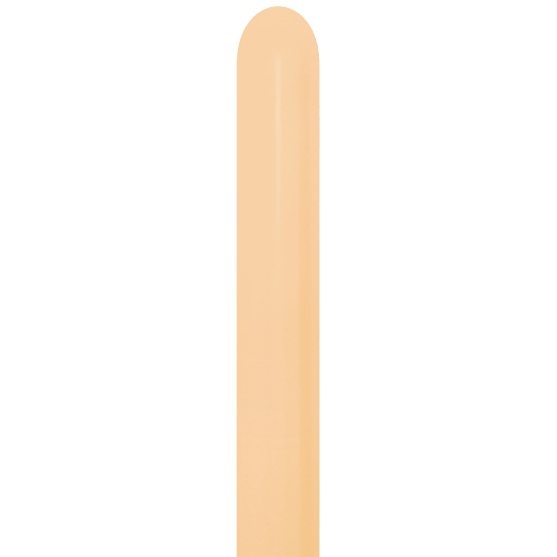 Bioloons® Modellierballon 360 Beige
