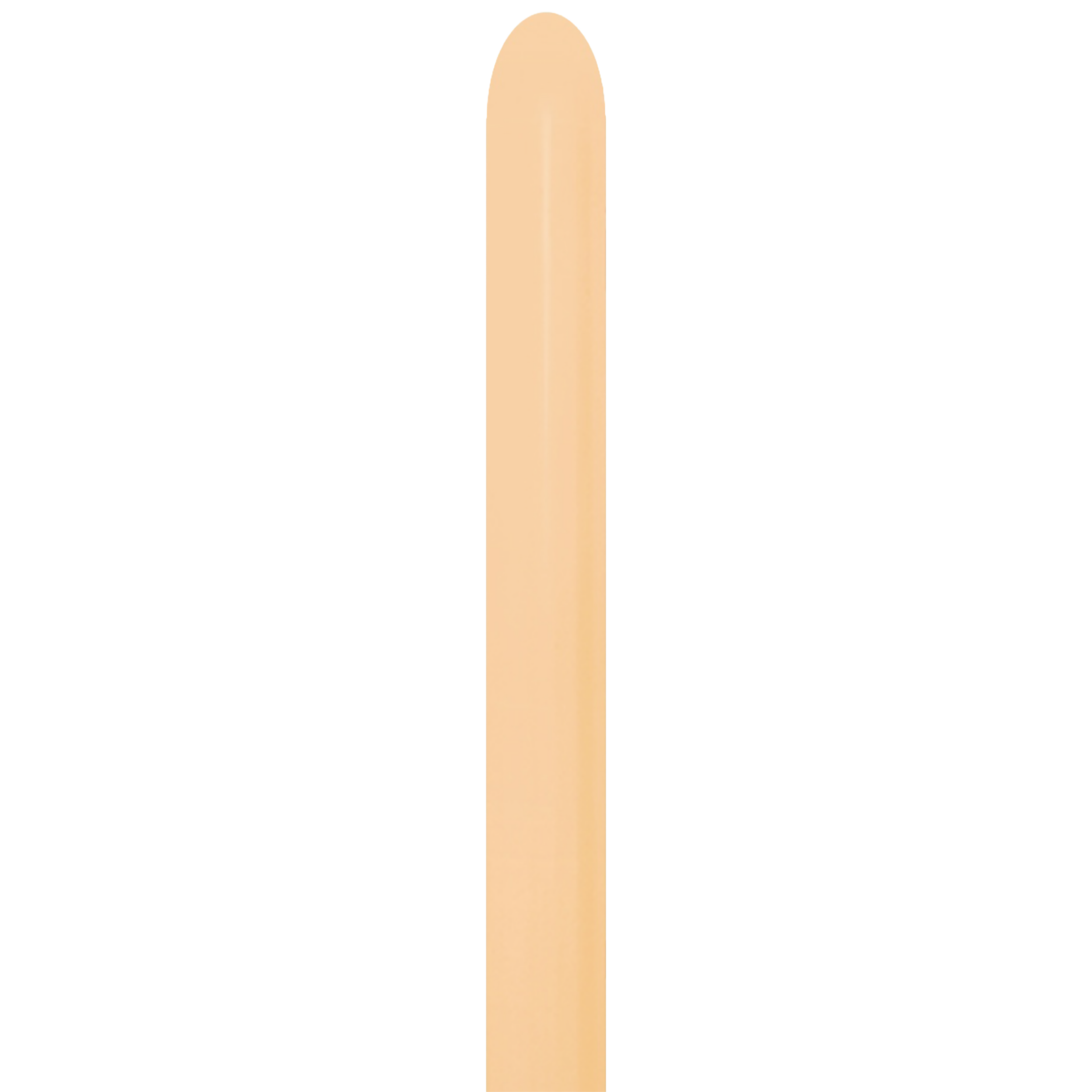 Bioloons® Modellierballon 260 Beige